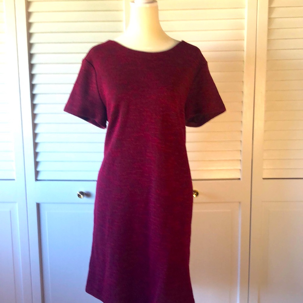 LOFT Burgundy Mini Dress
